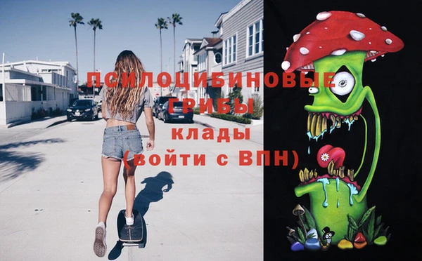 2c-b Алзамай