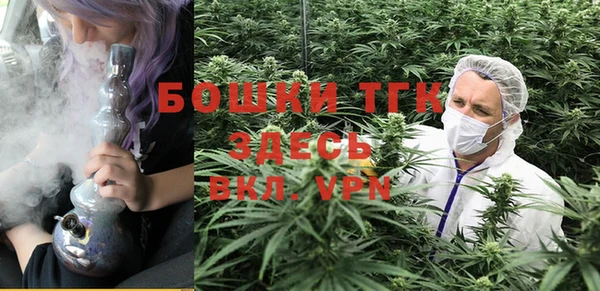 дурь Аркадак